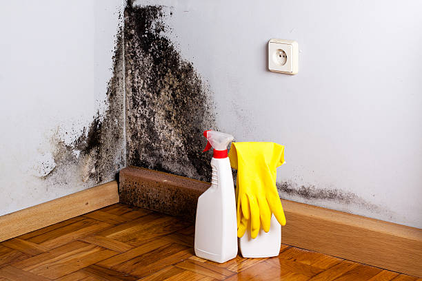 Water damage restoration mold remediation in Winchester, KY